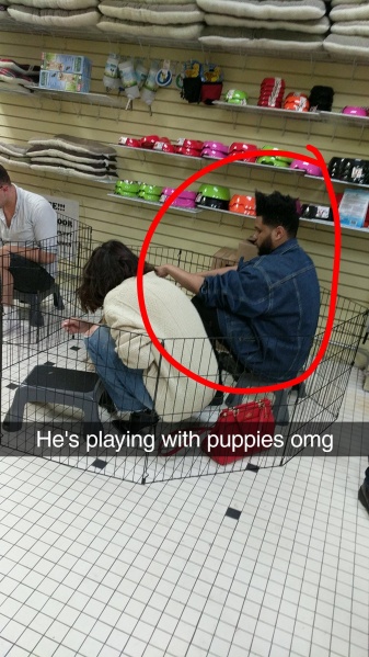 September 2: Selena at a pet store with The Weeknd in New York, NY (credit: ‪ss_nothing)
