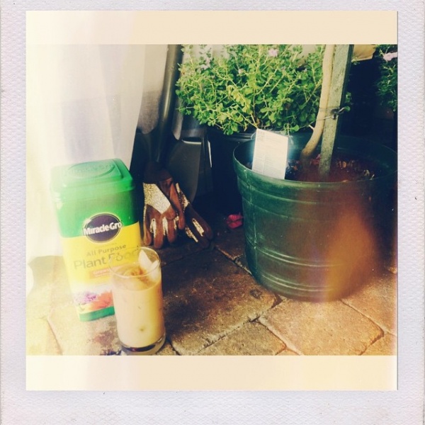This mornin'. Gardening and my own iced coffee with A LOT of cinnamon. He
